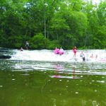 Gallery 1 - Southeastern Outings River Float, Picnic, Swim on the Locust Fork from Swann Bridge to Powell Falls