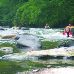 Gallery 3 - Southeastern Outings River Float, Picnic, Swim on the Locust Fork from Swann Bridge to Powell Falls