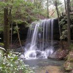 Gallery 2 - Southeastern Outings dayhike along Turkey Foot and Borden Creeks, Sipsey Wilderness
