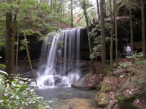 Gallery 2 - Southeastern Outings dayhike along Turkey Foot and Borden Creeks, Sipsey Wilderness