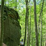 Gallery 3 - Southeastern Outings dayhike at Hurricane Creek Park in Cullman County, Alabama