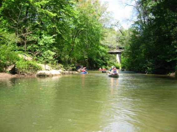 Gallery 1 - Southeastern Outings Canoe and Kayak Trip on the Sipsey Fork River