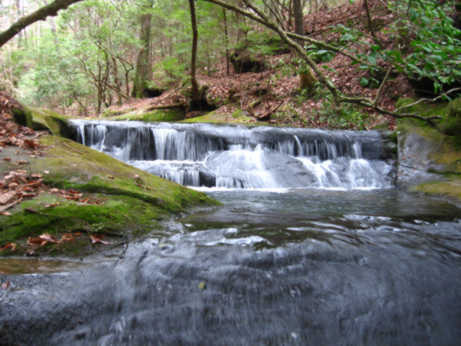 Gallery 1 - Southeastern Outings Creekwade in Quillan Creek, Sipsey Wilderness, Bankhead National Forest