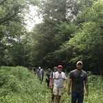 Gallery 2 - Sunday Hike Series: High Ore Line Trail