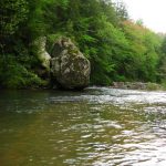 Gallery 3 - Southeastern Outings Canoe and Kayak Trip on the Sipsey Fork River