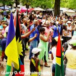 Gallery 4 - Magic City Caribbean Food and Music Festival