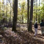 Gallery 2 - Southeastern Outings Dayhike in Paul Grist State Park near Selma, Alabama