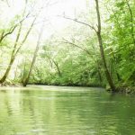 Gallery 2 - Southeastern Outings Canoe and Kayak Trip on Big Wills Creek near Gadsden, Alabama