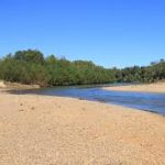 Gallery 3 - Southeastern Outings River Beach Party, Swim and Picnic at Barton’s Beach in Perry County, Alabama