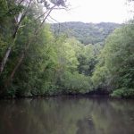 Gallery 3 - Southeastern Outings Canoe and Kayak Trip on Big Wills Creek near Gadsden, Alabama