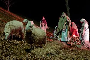 Walk Through Nativity