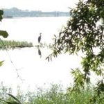 Gallery 3 - Southeastern Outings Dayhike at Point Mallard Park near Decatur, Alabama