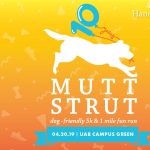Hand in Paw's 10th Annual Mutt Strut: Dog-Friendly 5K and 1 Mile Fun Run