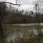 Gallery 1 - Southeastern Outings dayhike in the Cahaba River Park in Western Shelby County near Montevallo