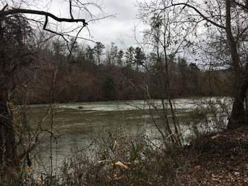 Gallery 1 - Southeastern Outings dayhike in the Cahaba River Park in Western Shelby County near Montevallo
