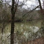 Gallery 3 - Southeastern Outings dayhike in the Cahaba River Park in Western Shelby County near Montevallo