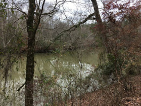 Gallery 3 - Southeastern Outings dayhike in the Cahaba River Park in Western Shelby County near Montevallo