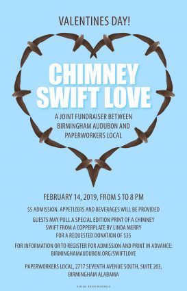 Gallery 1 - Chimney Swift Love