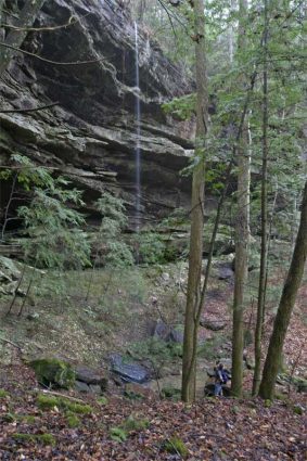Gallery 3 - Southeastern Outings Dayhike along Brushy Creek in the Bankhead National Forest