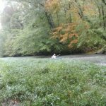 Gallery 1 - Southeastern Outings Canoe and Kayak Trip on Big Wills Creek near Gadsden, Alabama