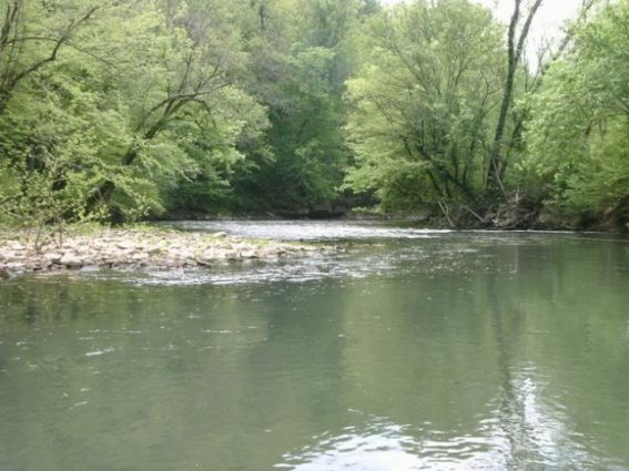 Gallery 2 - Southeastern Outings Canoe and Kayak Trip on Big Wills Creek near Gadsden, Alabama
