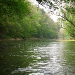 Gallery 3 - Southeastern Outings Canoe and Kayak Trip on the Elk River near Elkmont, Alabama