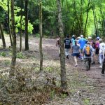 Guided Hike Series
