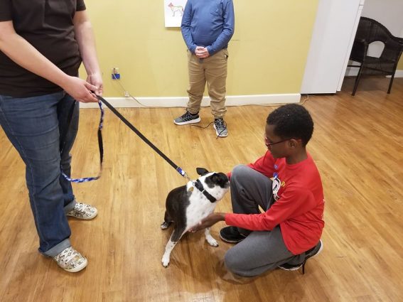 Gallery 5 - Kids Clinic: Learn to Speak Dog
