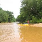 Gallery 2 - Southeastern Outings Kayak/Canoe Trip, Tallapoosa River at Heflin, Alabama