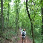 Guided Hike Series