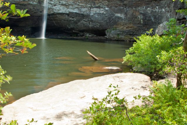 Gallery 2 - Southeastern Outings Glorious Swim at the bottom of DeSoto Falls in DeSoto State Park