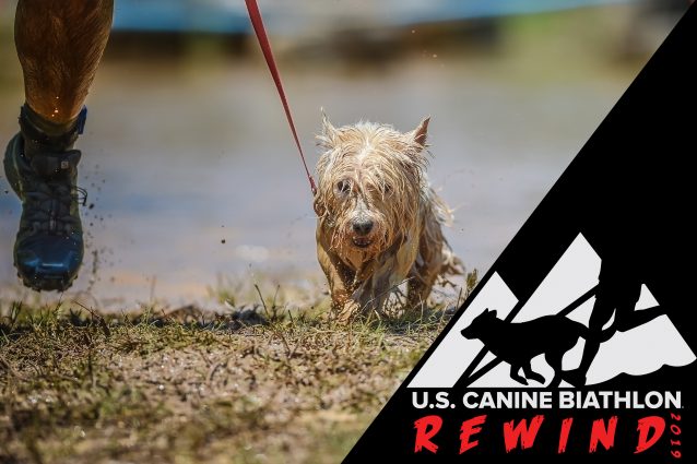 Gallery 2 - US Canine Biathlon REWIND