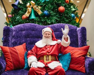 Visits and Photos with Singing Santa