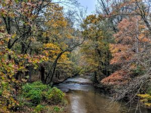 Guided Hike: Turkey Creek Restoration Site