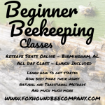 Beginner Beekeeping Classes