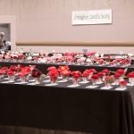 71st Annual Camellia Show