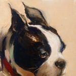 Timeless Pet Portraits with Amy Peterson