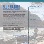 Gallery 1 - Blue Nature: A Colloquium