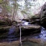 Gallery 2 - Southeastern Outings Creekwade in Quillan Creek, Sipsey Wilderness, Bankhead National Forest