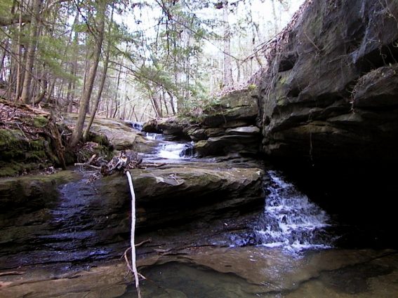 Gallery 2 - Southeastern Outings Creekwade in Quillan Creek, Sipsey Wilderness, Bankhead National Forest