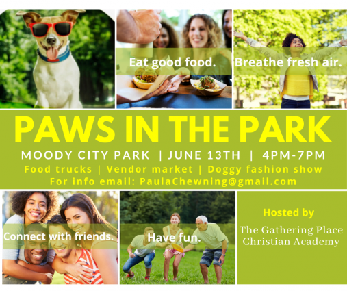 Gallery 1 - Paws in the Park