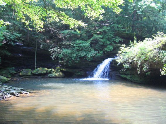 Gallery 4 - Southeastern Outings Short Hikes and Long Swims on South Caney Creek CANCELLED