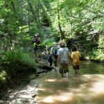 Gallery 5 - Southeastern Outings Short Hikes and Long Swims on South Caney Creek CANCELLED