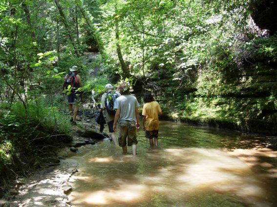 Gallery 5 - Southeastern Outings Short Hikes and Long Swims on South Caney Creek CANCELLED