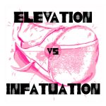 Carey Fountain: Elevation vs. Infatuation