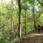 Gallery 1 - Southeastern Outings dayhike at Ruffner Mountain Nature Preserve