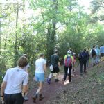 Gallery 2 - Southeastern Outings Leisurely Weekday Hike at Red Mountain Park in Birmingham