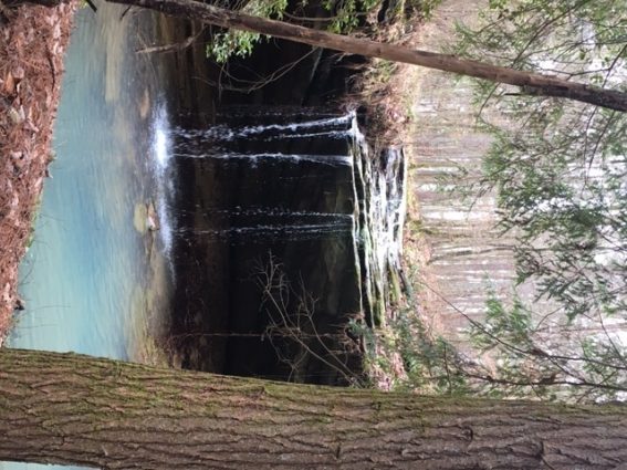 Gallery 3 - Southeastern Outings dayhike to view multiple waterfalls in the Bankhead National Forest