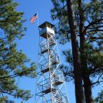 Gallery 3 - Southeastern Outings Dayhike at Smith Mountain Fire Tower by Lake Martin