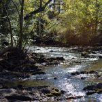 Gallery 1 - Southeastern Outings Dayhike at the new Shoal Creek Park in Montevallo, Alabama